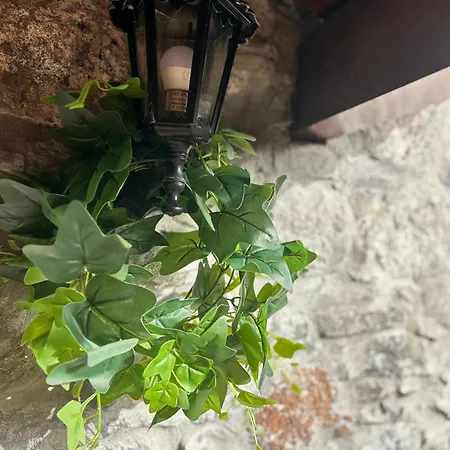 Palheiro Mar By Ola Madeira アパート ポール・ド・マール