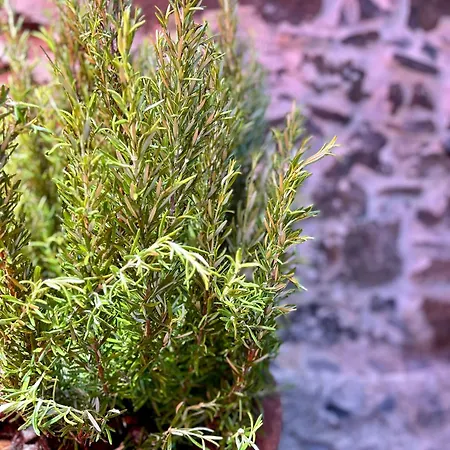 Palheiro Mar By Ola Madeira Apartman