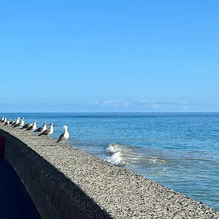 Lägenhet Palheiro Mar By Ola Madeira *