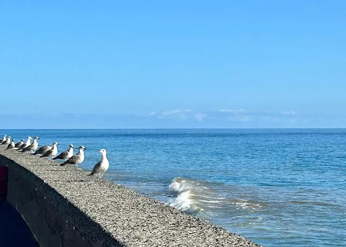 Appartamento Palheiro Mar By Olá Madeira *